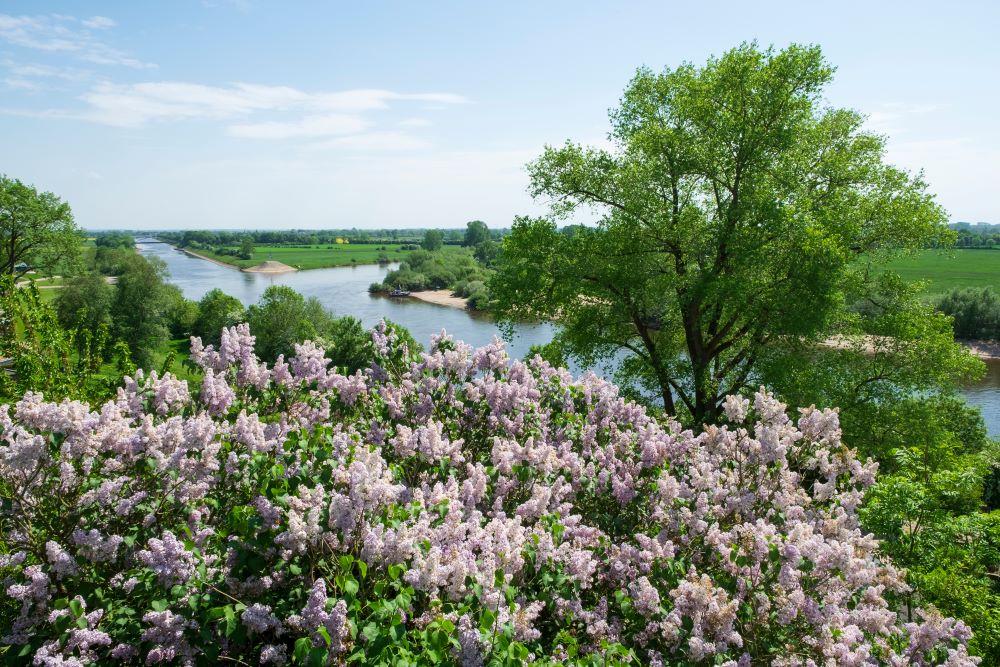 achim-fluss-weser