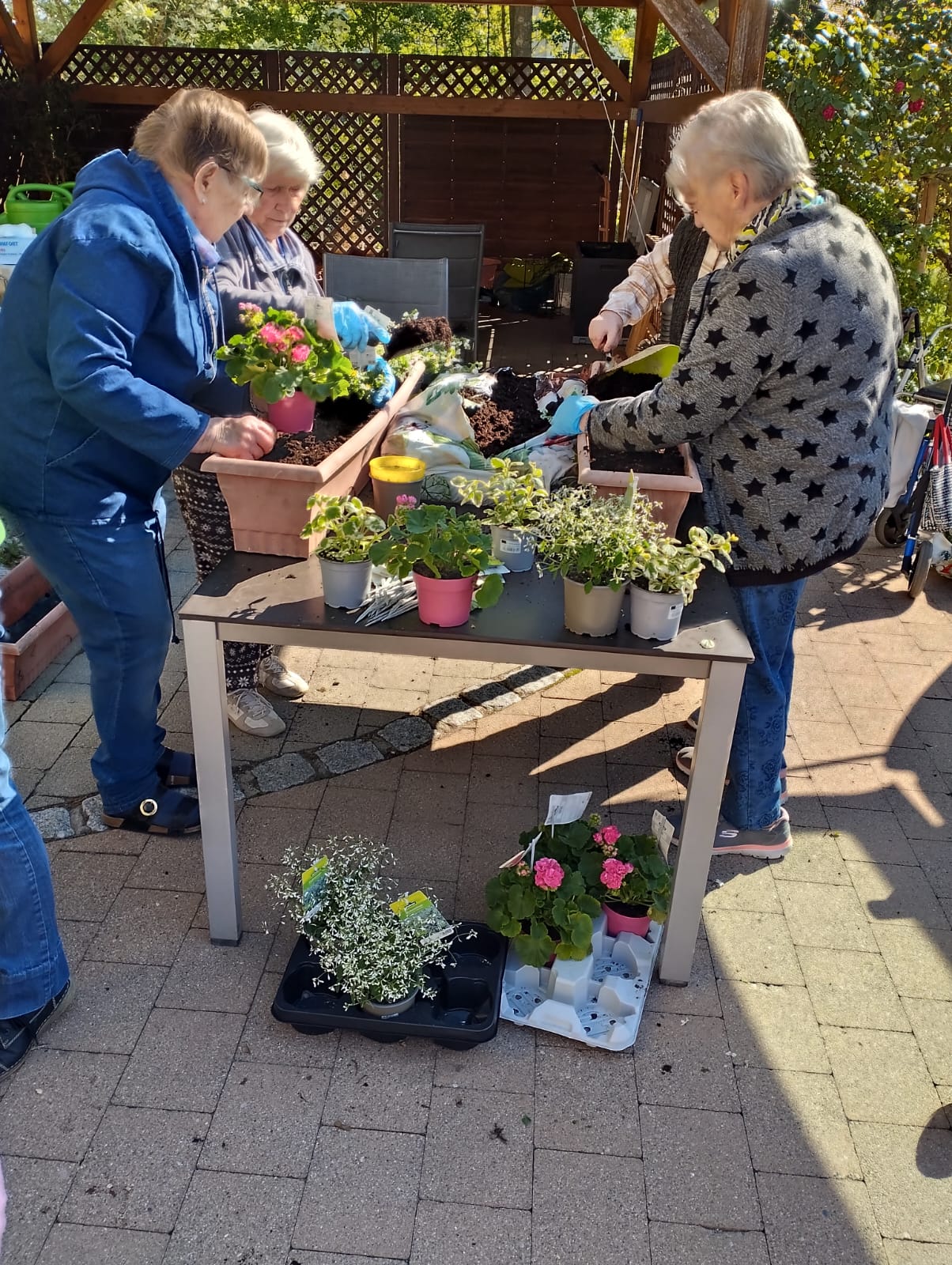 blumenkästen-konrad-senden-2