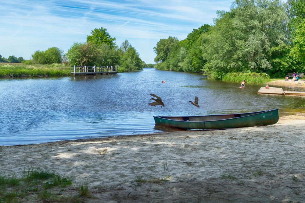 Fliegende Enten am kleinen Sandstrand in Worpswede Nähe Osterholz-Scharmbeck