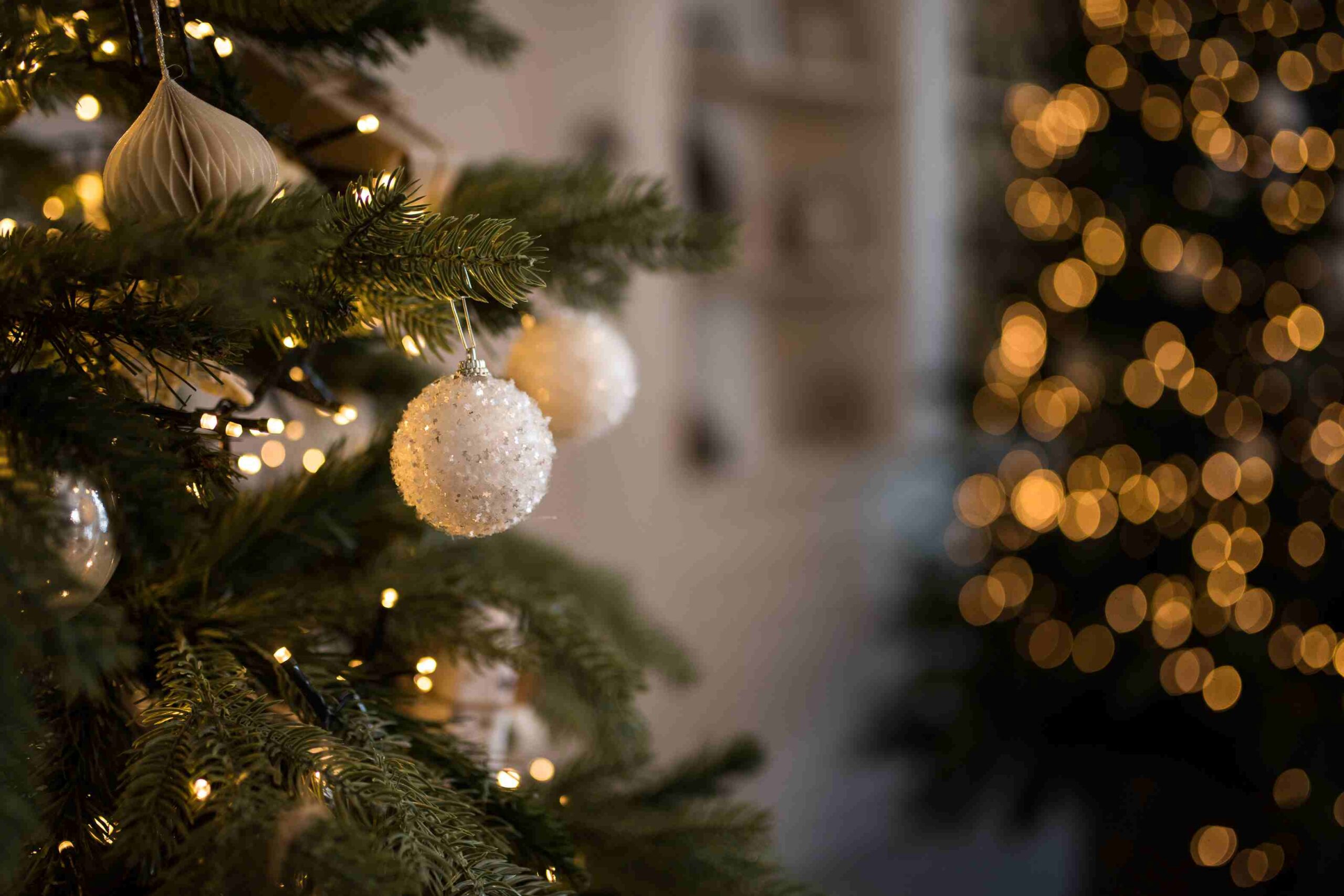 Weihnachtszauber und Karriereglück? Willkommen im Haus Reeshoop!