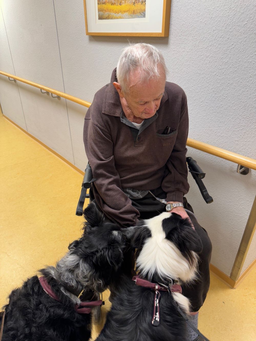 Besuchshunde Finley und Elvis im Haus Antonius