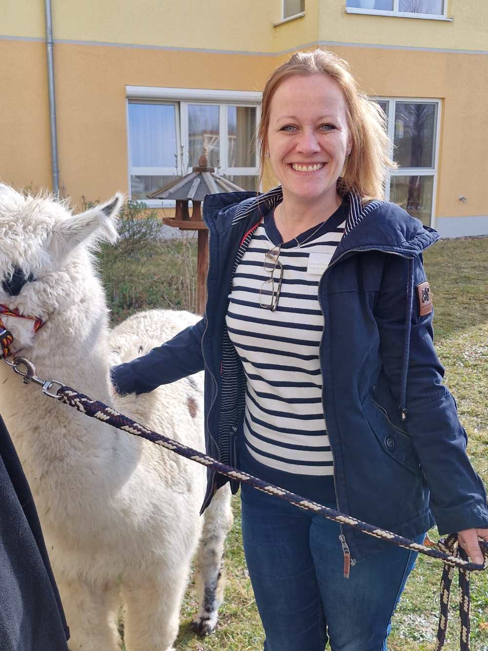 Tierischer Besuch: Alpakas im Seniorendomizil Haus Urban