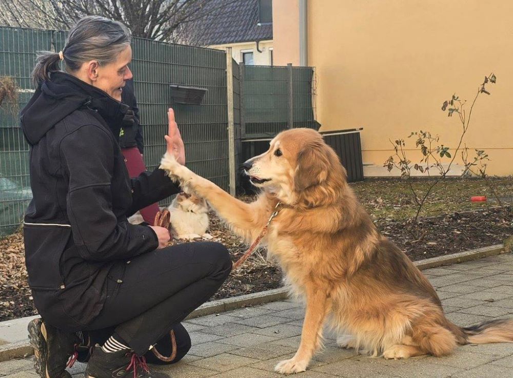 Herzberührender Hundebesuch im Seniorendomizil Haus Lukas