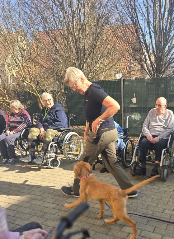 Herzberührender Hundebesuch im Seniorendomizil Haus Lukas