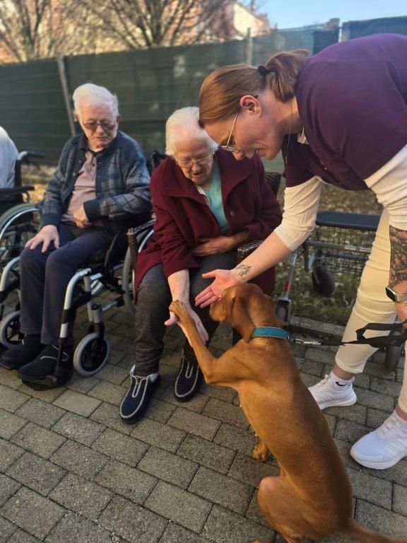 Herzberührender Hundebesuch im Seniorendomizil Haus Lukas
