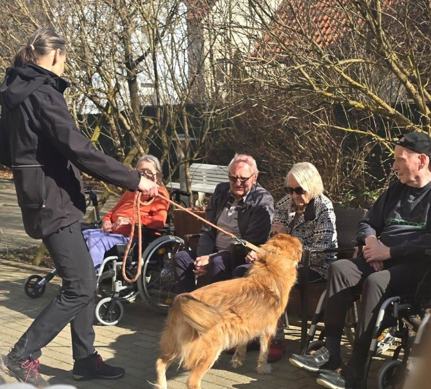 Herzberührender Hundebesuch im Seniorendomizil Haus Lukas