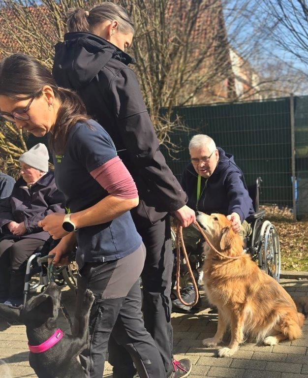Herzberührender Hundebesuch im Seniorendomizil Haus Lukas