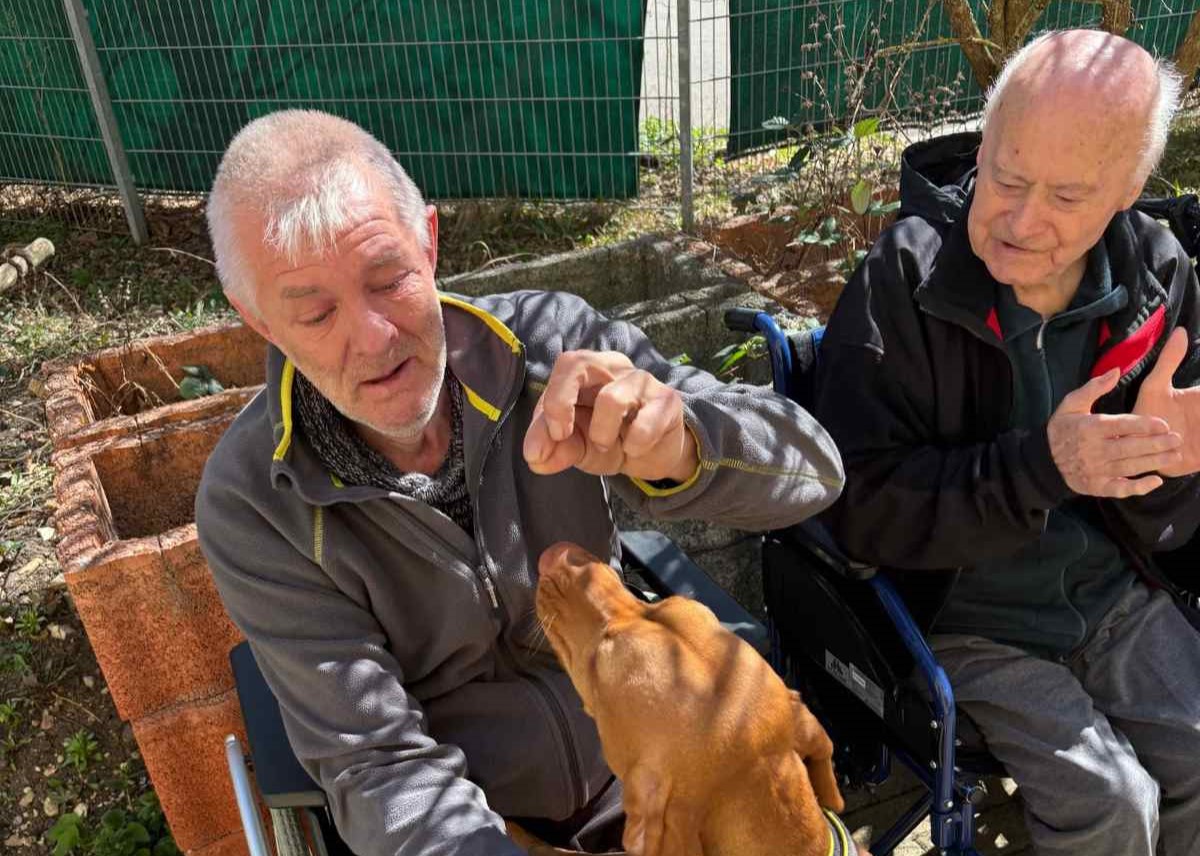 Hundebesuch im Seniorendomizil Haus Lukas