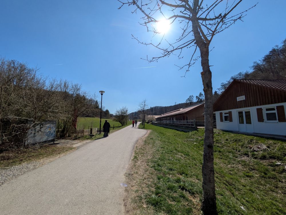 Musikalischer Ausflug: „Singen öffnet Türen“ für Menschen mit Demenz