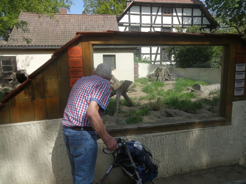 Frühlingsausflug der Seniorenresidenz Bremer Straße in den Tierpark Ströhen