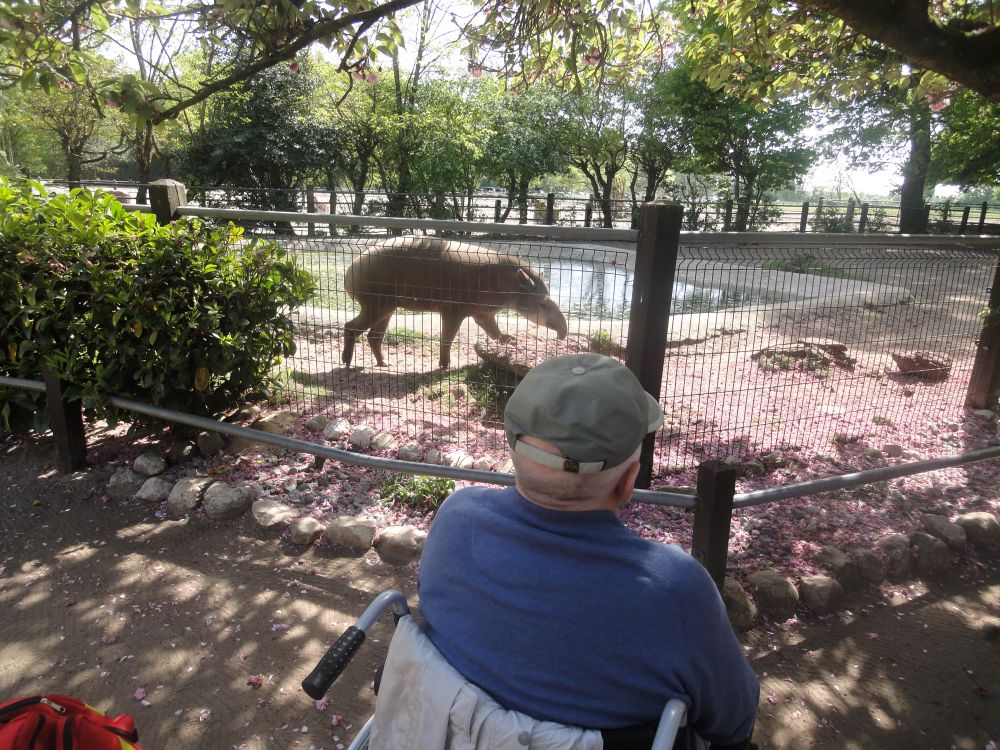 Ein tierisch schöner Frühlingstag im Tierpark Ströhen