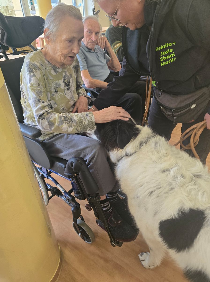 Streichelrunde im Haus Lukas: Hundebesuch