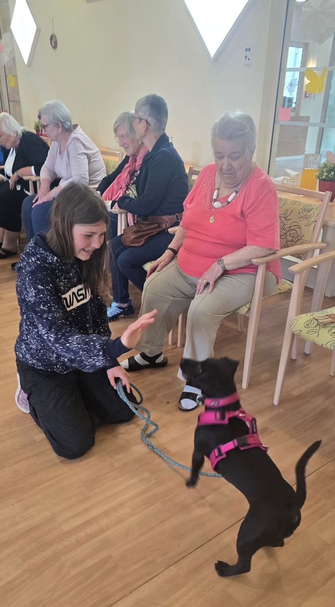 Streichelrunde im Haus Lukas: Hundebesuch