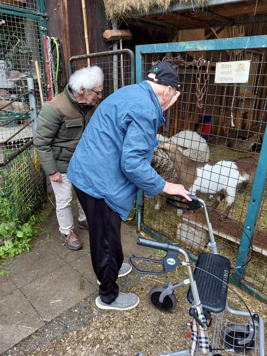 Haus Ursula: Monatlicher Ausflug zum Schwillehof begeistert Bewohner