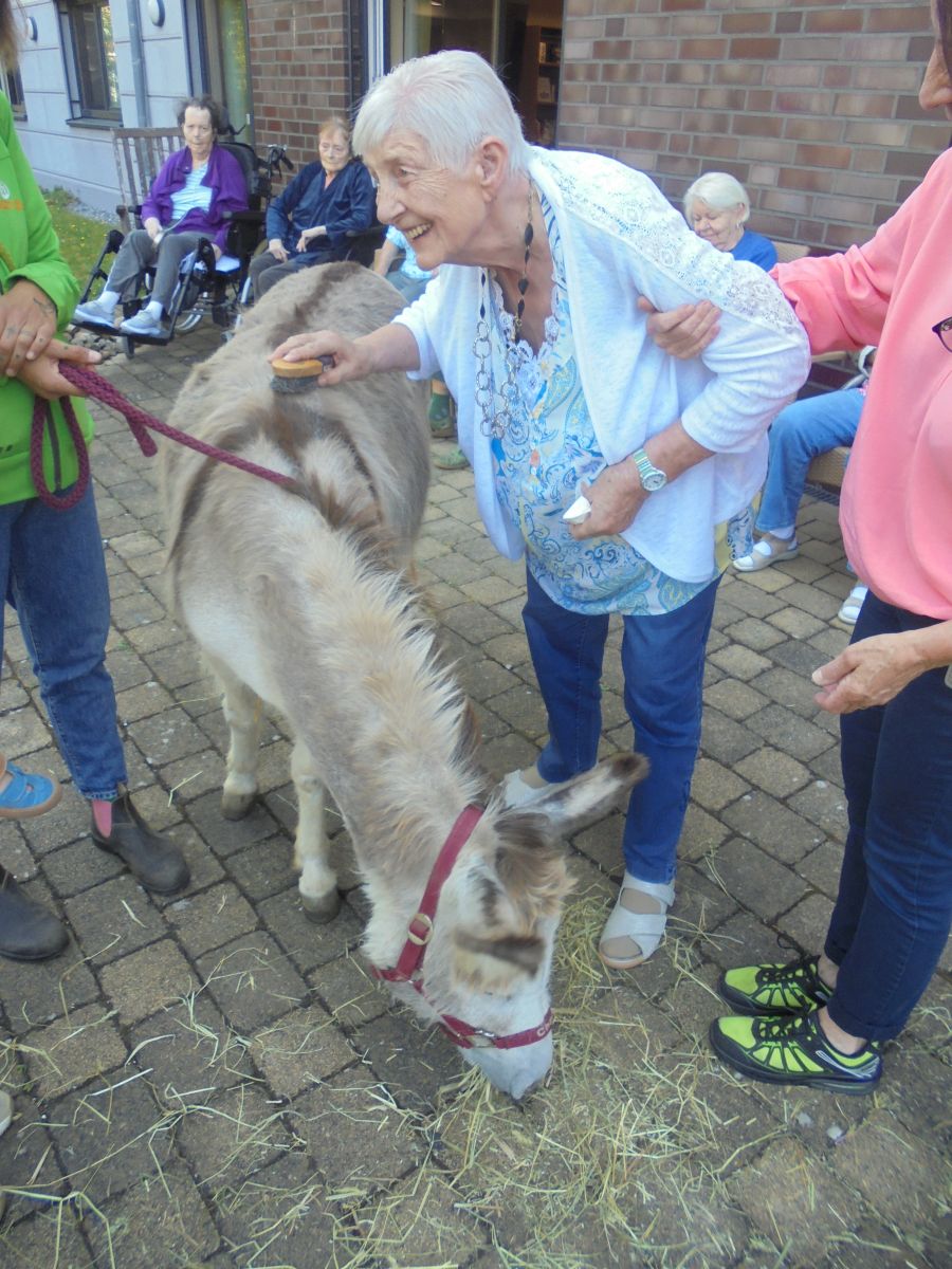 Tierischer Besuch im Haus Walter Esser – Esel und Pony begeistern Senioren