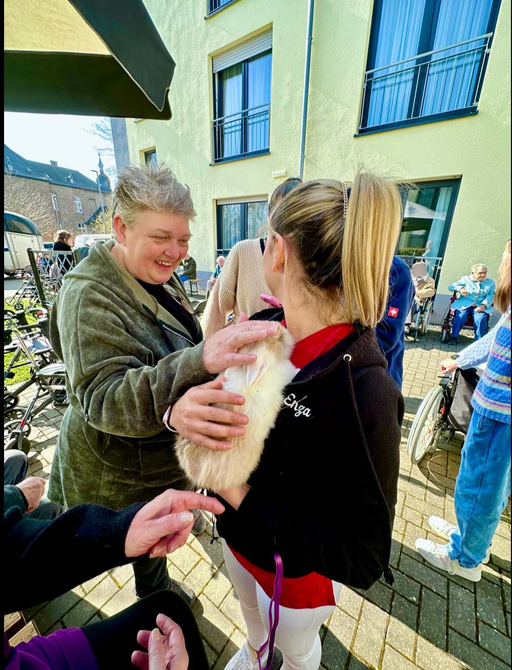 Tierischer Überraschungsbesuch in Nörvenich